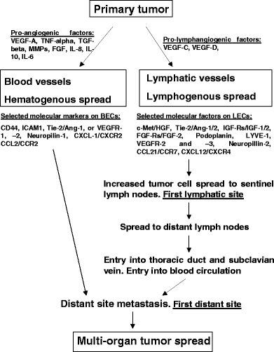 Hematogenously