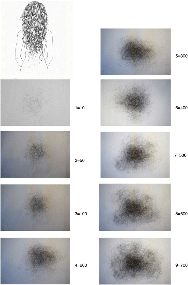 The Hair Shedding Visual Scale: A Quick Tool to Assess Hair Loss in Women |  SpringerLink