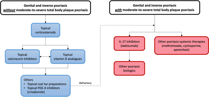 Genital and Inverse/Intertriginous Psoriasis: An Updated Review of  Therapies and Recommendations for Practical Management | Dermatology and  Therapy