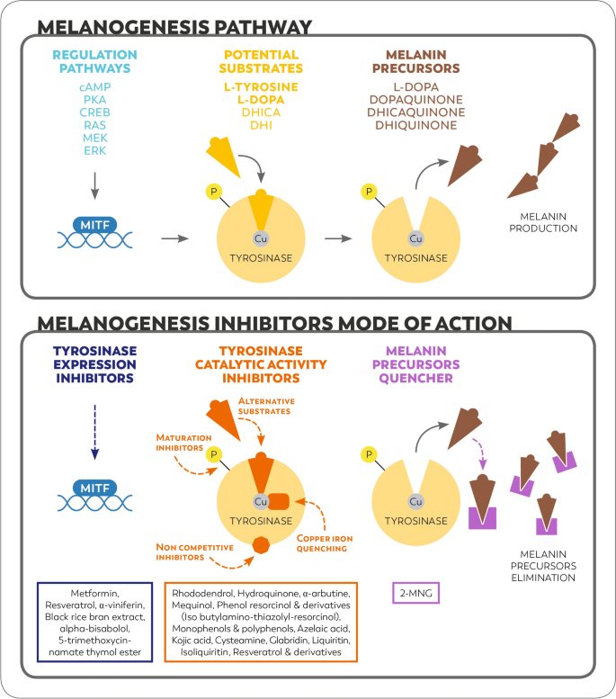 what benefits does glutathione have The Benefits of Glutathione Injections and Where to Get Them