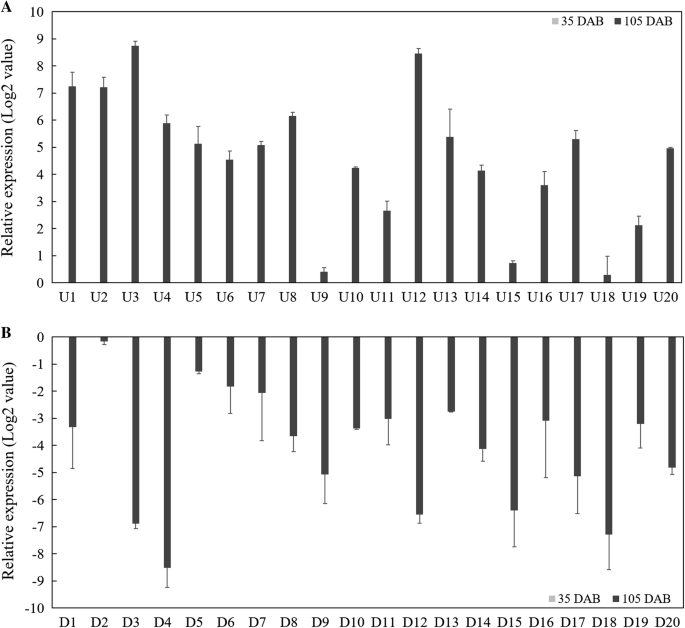 Differentially Expressed Genes During Berry Ripening In De Novo Rna Assembly Of Vitis Flexuosa Fruits Springerlink