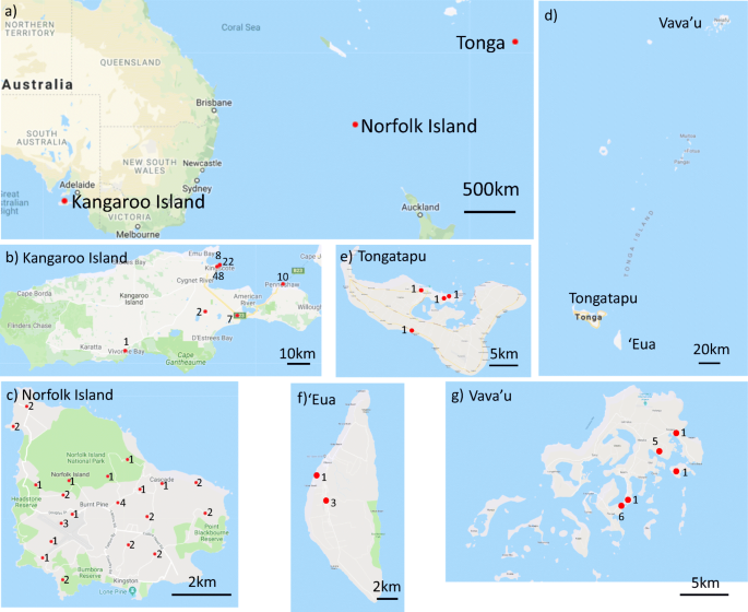 Genetic Origins Of Honey Bees Apis Mellifera On Kangaroo Island And Norfolk Island Australia And The Kingdom Of Tonga Springerlink Genetic Origins Of Honey Bees Apis Mellifera On Kangaroo Island And Norfolk Island Australia And The Kingdom Of Tonga Springerlink