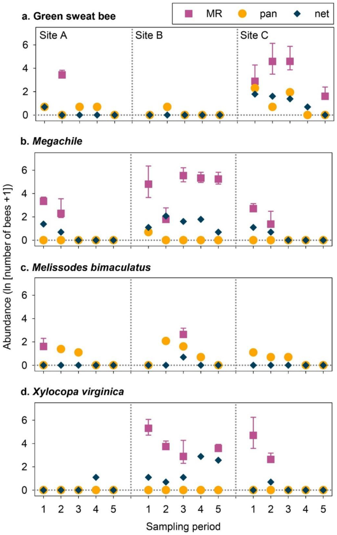 Estimating bee abundance: can mark-recapture methods validate common  sampling protocols? | SpringerLink