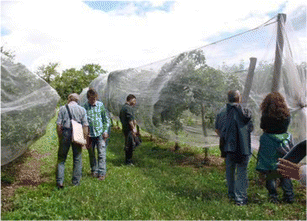 Incentives And Policies For Integrated Pest Management In Europe A Review Springerlink