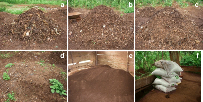Cash For Trash An Agro Economic Value Assessment Of Urban Organic Materials Used As Fertilizers In Cameroon Springerlink