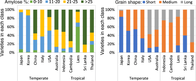 Rice Quality Improvement A Review Springerlink