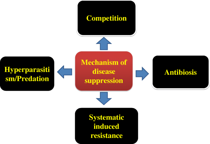 Sustainable Management Of Diseases And Pests In Crops By Vermicompost And Vermicompost Tea A Review Springerlink