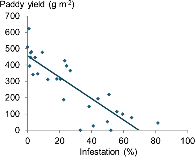 Red Rice Invasive Emergence of invasive weedy rice in Southeast Asia. A review | Agronomy ...