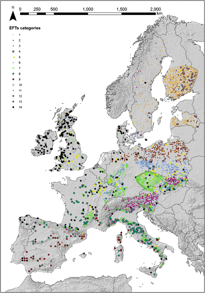 European Forest Types Toward An Automated Classification Springerlink