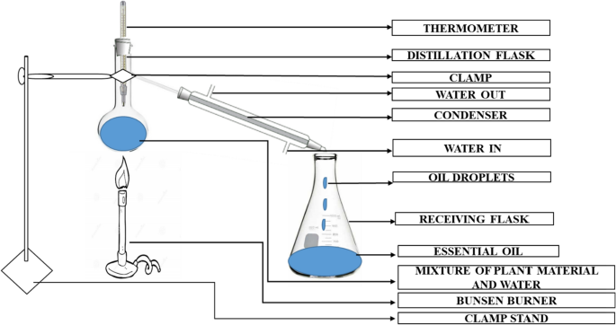 Essential Oils And Their Pharmacotherapeutics Applications In Human Diseases Springerlink