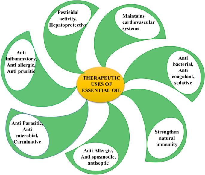 Essential oils and their pharmacotherapeutics applications in human  diseases | SpringerLink