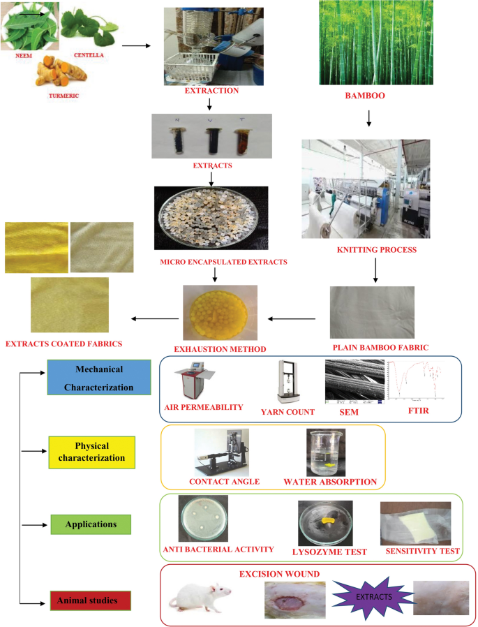 Fabrication And Evaluation Of Bamboo Fabric Coated With Extracts Of Curcuma Longa Centella Asiatica And Azadirachta Indica As A Wound Dressing Material Springerlink