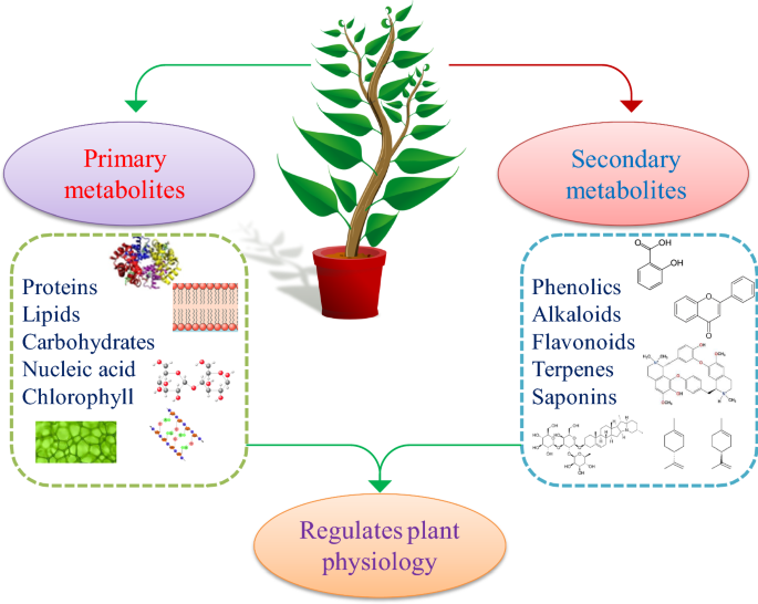 Bioactive molecules from plants: a prospective approach to combat  SARS-CoV-2 | Advances in Traditional Medicine | Springer Nature Link