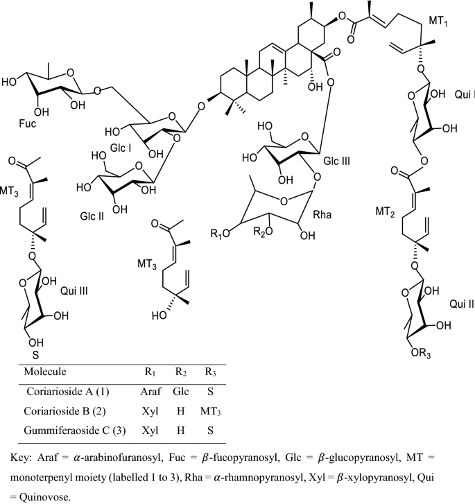 Albizia Coriaria Welw Ex Oliver A Review Of Its Ethnobotany Phytochemistry And Ethnopharmacology Springerlink Albizia Coriaria Welw Ex Oliver A Review Of Its Ethnobotany Phytochemistry And Ethnopharmacology Springerlink