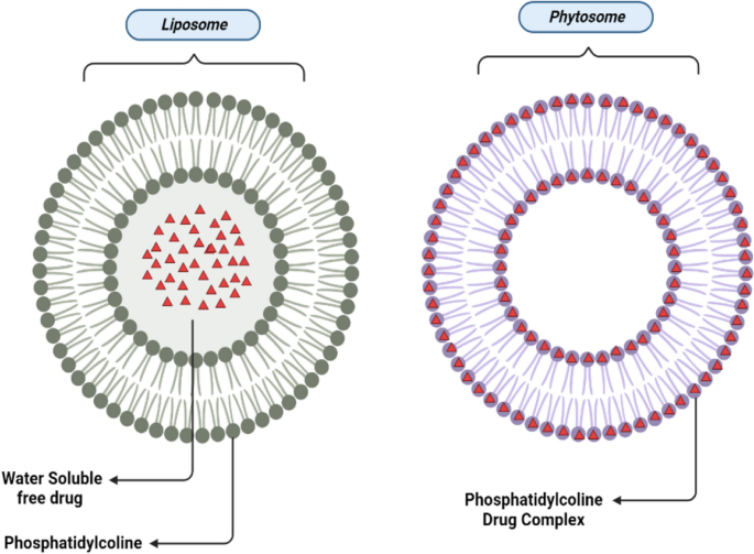 berberine hydrochloride phytosome liposomal comparison chart