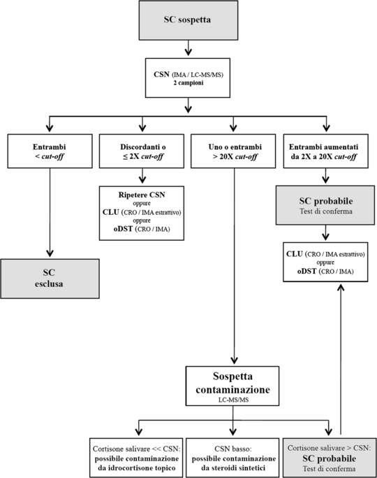 creare un ciclo di steroidi estrema