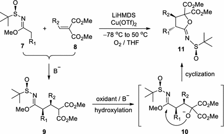 scheme 1