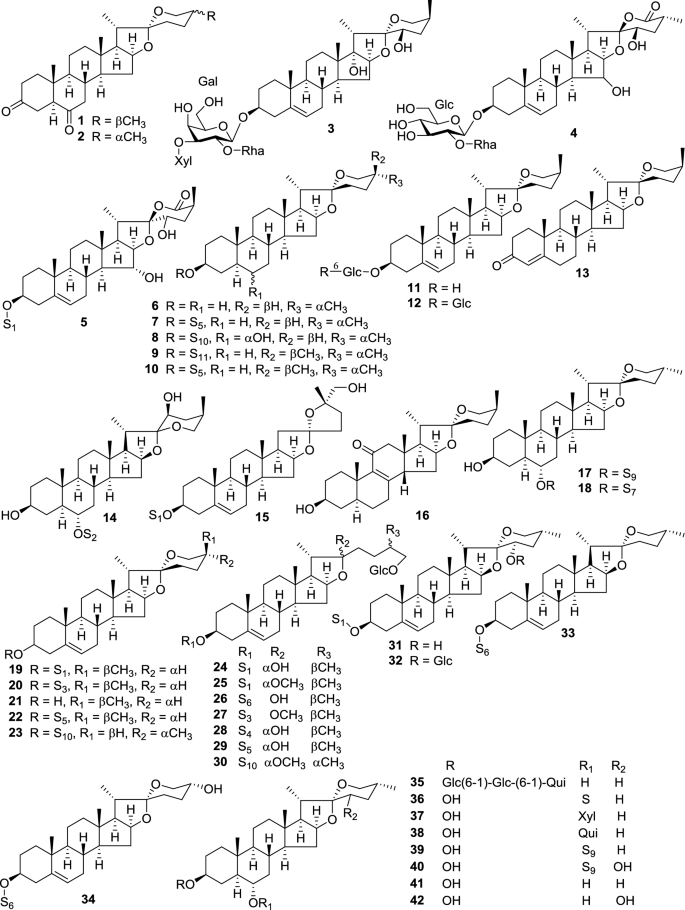 The Genus Solanum An Ethnopharmacological Phytochemical And Biological Properties Review Springerlink