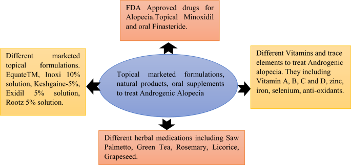 A Systemic Review on Topical Marketed Formulations, Natural Products, and  Oral Supplements to Prevent Androgenic Alopecia: A Review | SpringerLink