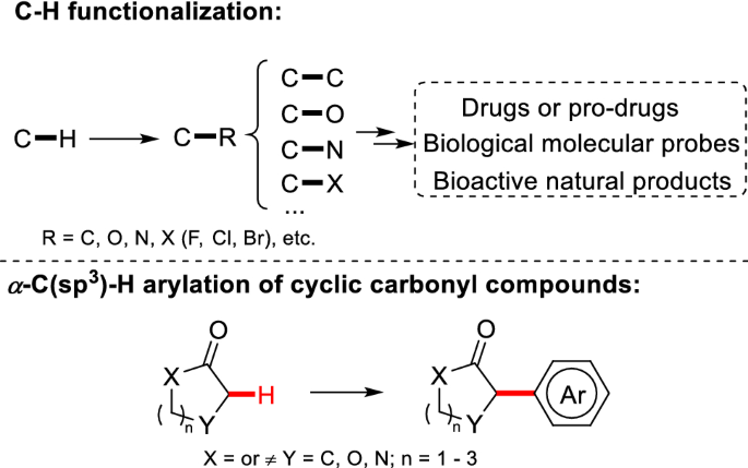 A C Sp3 H Arylation Of Cyclic Carbonyl Compounds Springerlink