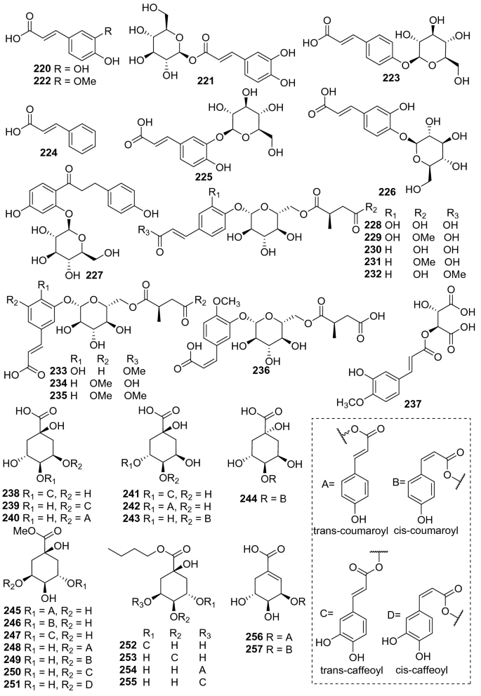 research paper on chemical constituents figure 10