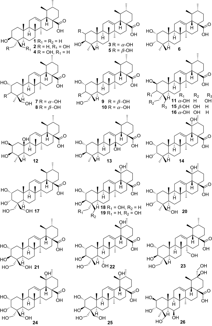 research paper on chemical constituents figure 2