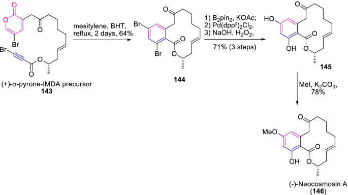 scheme 19