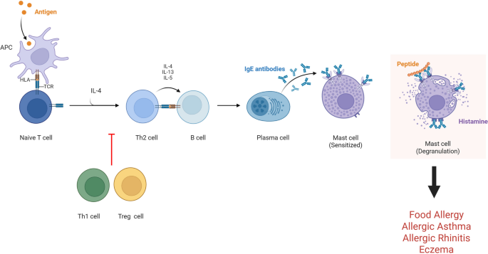 glutathione allergy symptoms Can Help With Eczema? The inhibition of pathological IgE