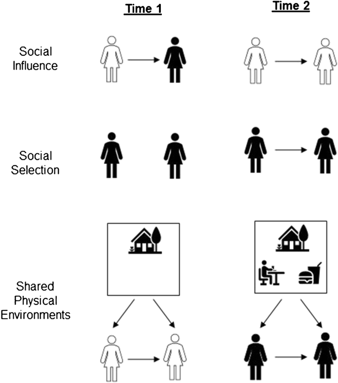 Unraveling the Social Factors Influencing Obesity