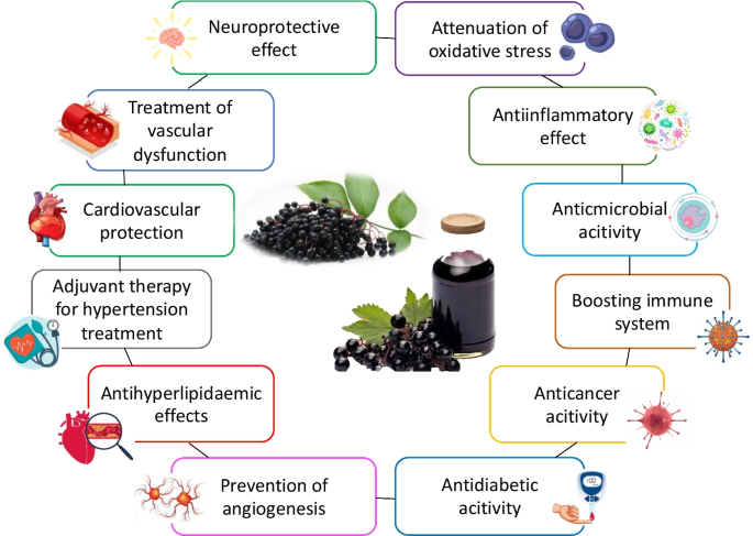 elderberry benefits () elderberry benefits