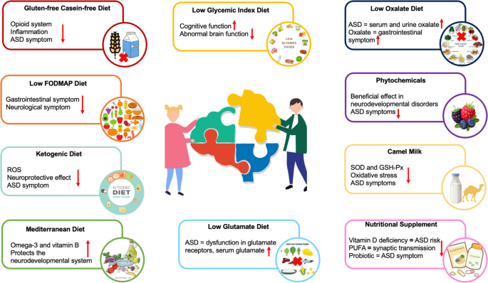 Nutritional Approaches in Autism Spectrum Disorder: A Scoping Review |  Current Nutrition Reports