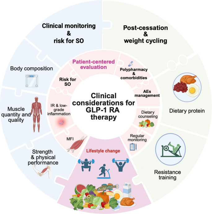 glp-1 agonists muscle loss sarcopenia risks GLP-1 Receptor Agonists for Obesity Management in Older Adults: A Scoping  Review on the Risk of Sarcopenia and Sarcopenic Obesity | Current Nutrition  Reports