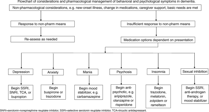 Pharmacologic Management of Agitation in Patients with Dementia |  SpringerLink
