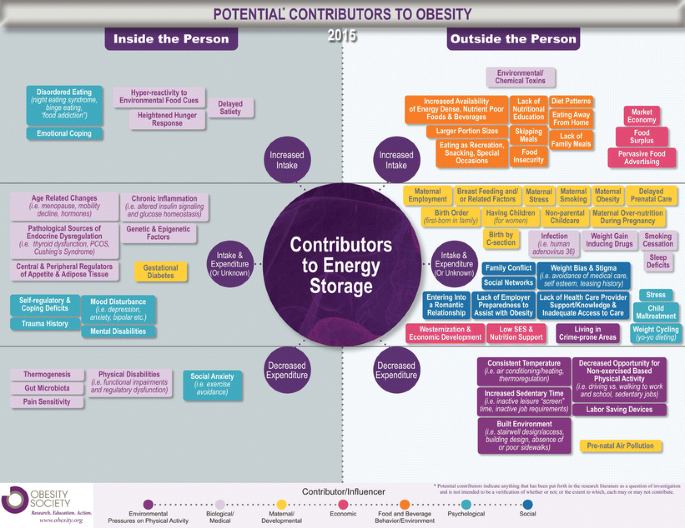 How the Food Industry Influences Obesity?