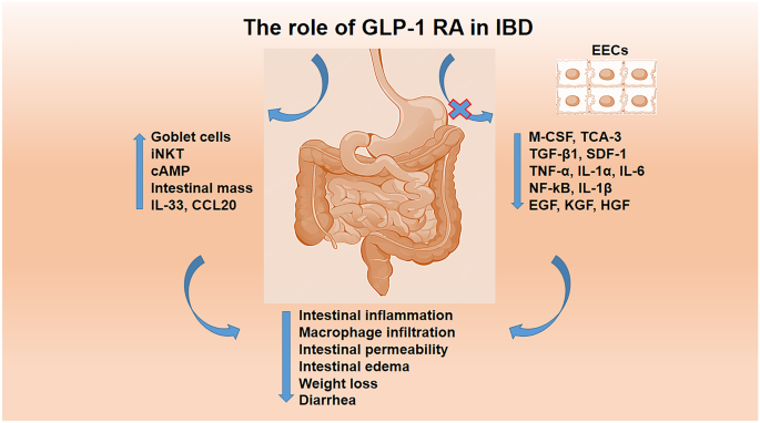 mindbody glp 1 Amazon.com: LifeVantage MindBody GLP-1 System, Natural GLP1 Supplement for  Appetite Control, Reduces Cravings