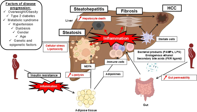 will i be able to get compounded semaglutide Compounded Semaglutide (GLP-1)