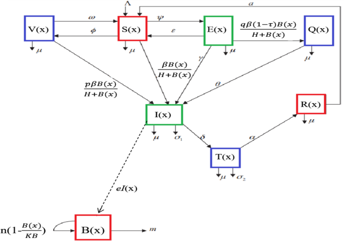 A machine learning radial basis Bayesian regularization neural network ...