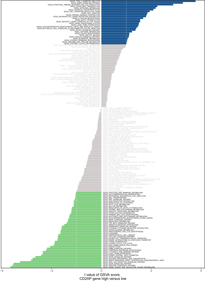 Identification of potential biomarkers and targets for myocardial  infarction via genetic analysis of disulfidptosis-related genes | Network  Modeling Analysis in Health Informatics and Bioinformatics | Springer  Nature Link
