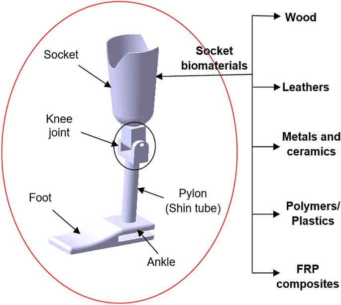 Endoskeletal above knee prosthesis for above knee amputee