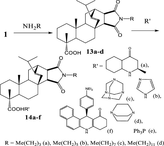 scheme 8