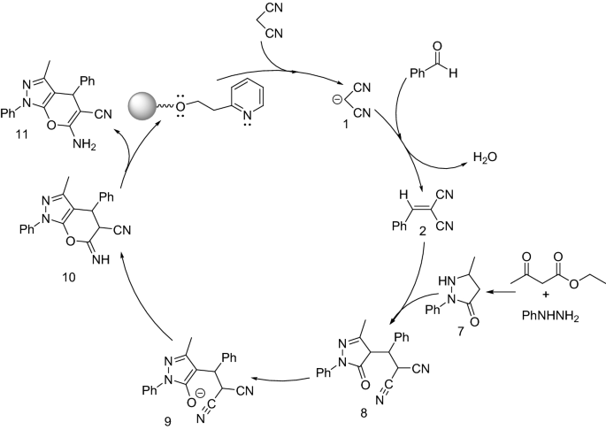 scheme 5