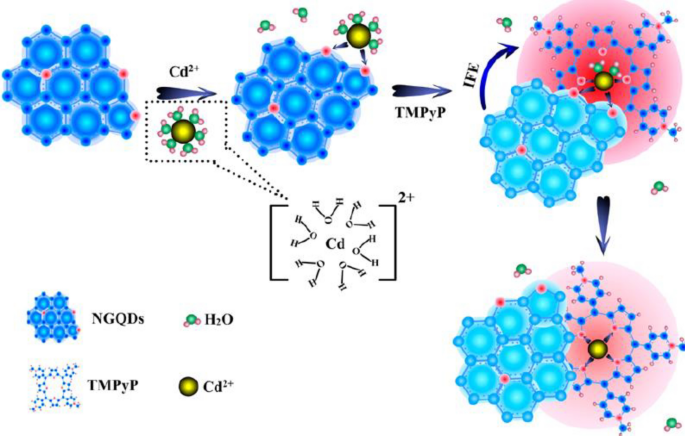 Organic–Inorganic Porphyrinoid Frameworks for Biomolecule Sensing