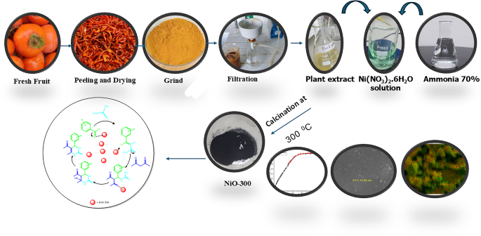 Facile green synthesis of nickel oxide nanoparticles by persimmon peel ...