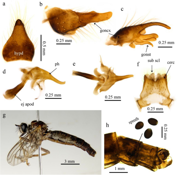 figure 22