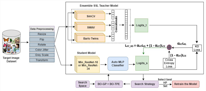An ensemble of self-supervised teachers for minimal student model with ...