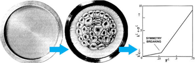 Symmetry, Symmetry Breaking, and the Origin, Evolution, and Nature of ...