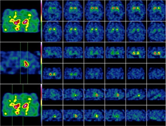 Sca 8 Mimicking Msa C Springerlink