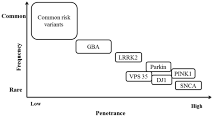 Genetics of Parkinson's disease | SpringerLink