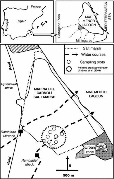graphic_overview