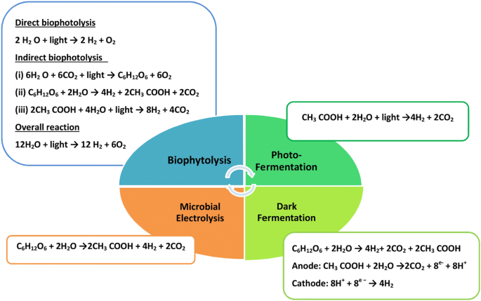 Biohydrogen Production From Waste Materials Benefits And Challenges Springerlink